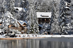 Hiša ob jezeru - House by the Lake
